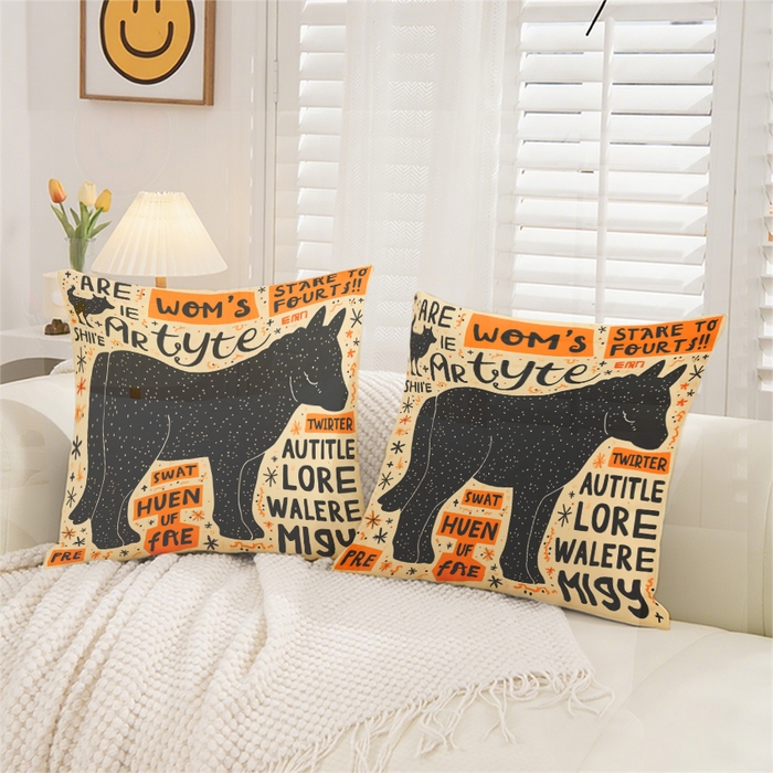 91家纺网 家纺一手货源 找家纺 合纵跨境工厂 2025新款一件定制跨境抱枕套代发shein亚马逊速卖通24小时内发货磨毛水晶绒材质-卡通主题抱枕套 1XM58261033