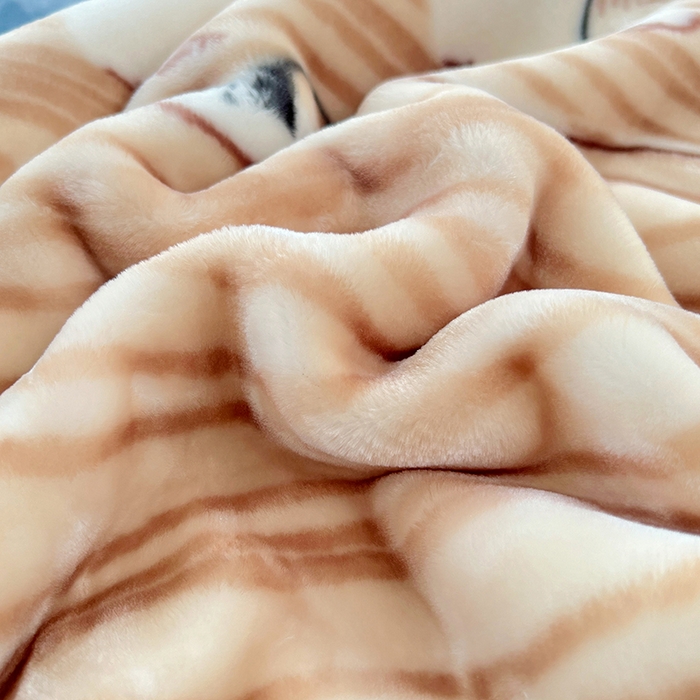 91家纺网 家纺一手货源 找家纺 凯轩毛毯网销专供 2025新款双层学生云毯毛毯保暖毯 西高地