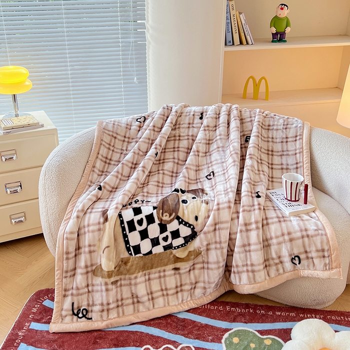 91家纺网 家纺一手货源 找家纺 （总）凯轩毛毯网销专供 2025新款双层学生云毯毛毯保暖毯