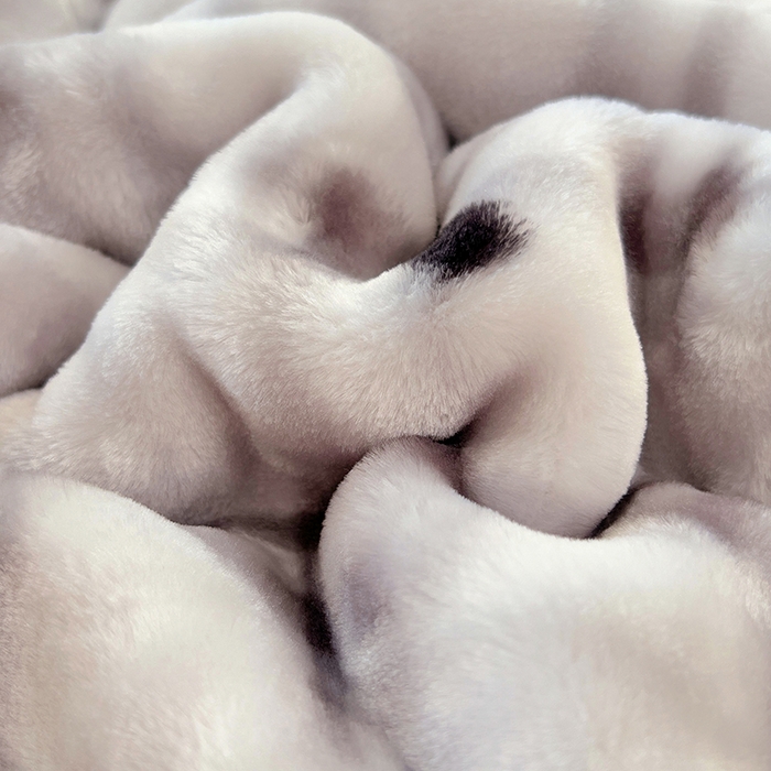 91家纺网 家纺一手货源 找家纺 凯轩毛毯网销专供 2025新款双层学生云毯毛毯保暖毯 爱心狗-灰