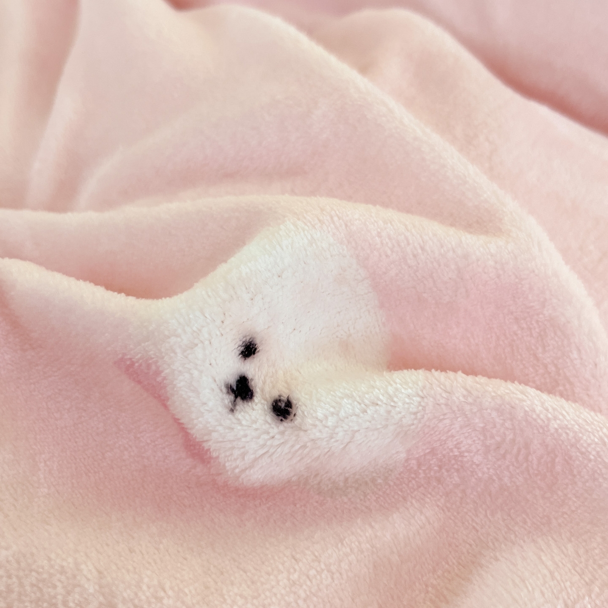 91家纺网 家纺一手货源 找家纺 贝扬思家纺 2025新款软fufu加厚保暖可爱系牛奶绒宿舍床套件系列（小红书推荐）（提供买家秀） 绒绒小狗-粉