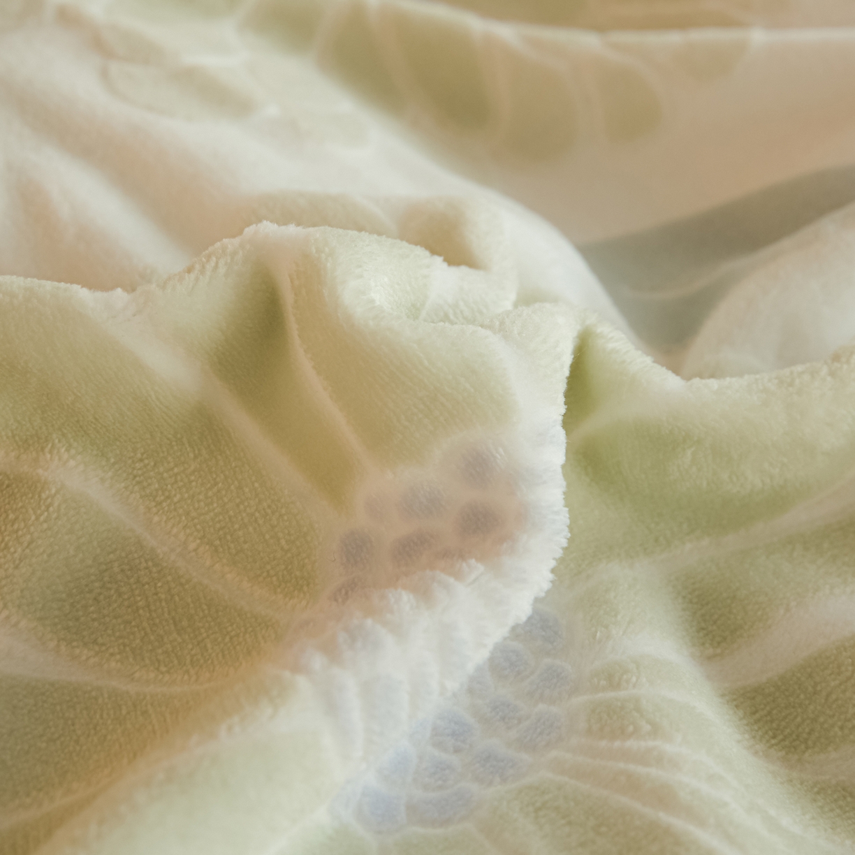 91家纺网 家纺一手货源 找家纺 菡宝 【主推第三批 带质检报告】A类全消光230g雕花绒牛奶绒四件套支持定制定做尺寸 雏菊呈露绿