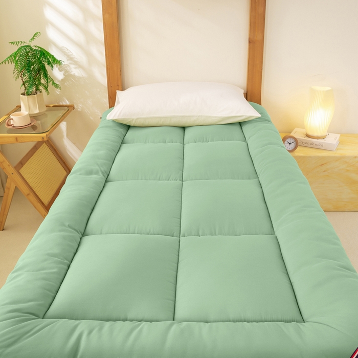 91家纺网 家纺一手货源 找家纺 憨豆家纺 2026新款酒店羽丝绒床垫学生宿舍单人床褥超厚榻榻米垫子不塌陷被褥可折叠（含买家秀） 绿树成荫