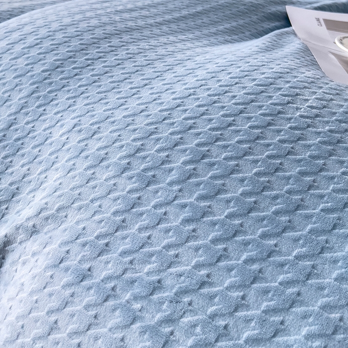 91家纺网 家纺一手货源 找家纺 锦罗绣 2025新款全消光烂花230克牛奶绒单被套 千鸟格-水蓝