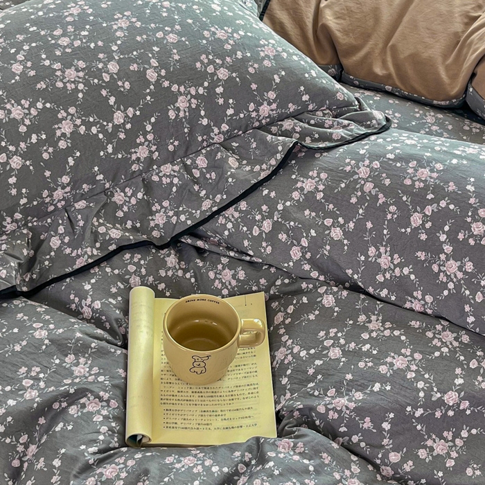 91家纺网 家纺一手货源 找家纺 斯卡诺家纺 2025秋冬法式花边古法水洗棉云感棉床盖四件套花边被套床单款 满天星-花边款