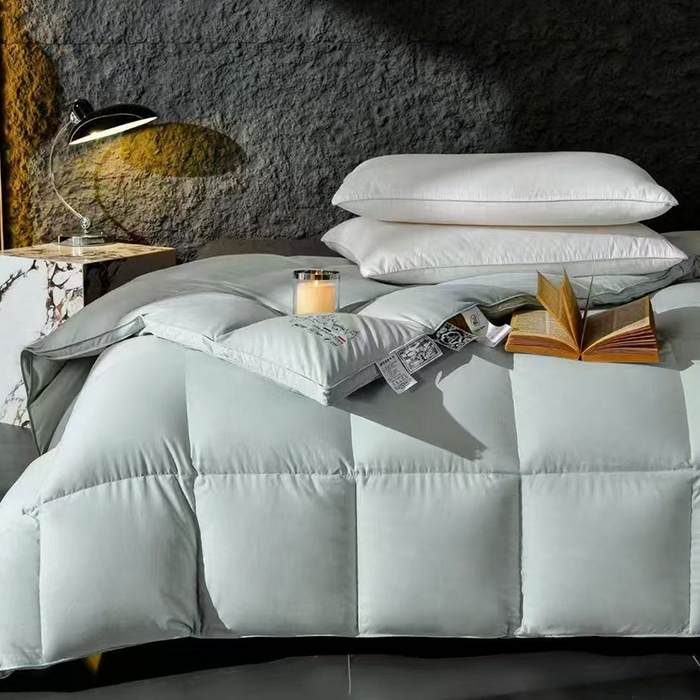 玖玖爱家纺 2025新款天丝糯棉鹅绒冬被被子被芯 高级灰