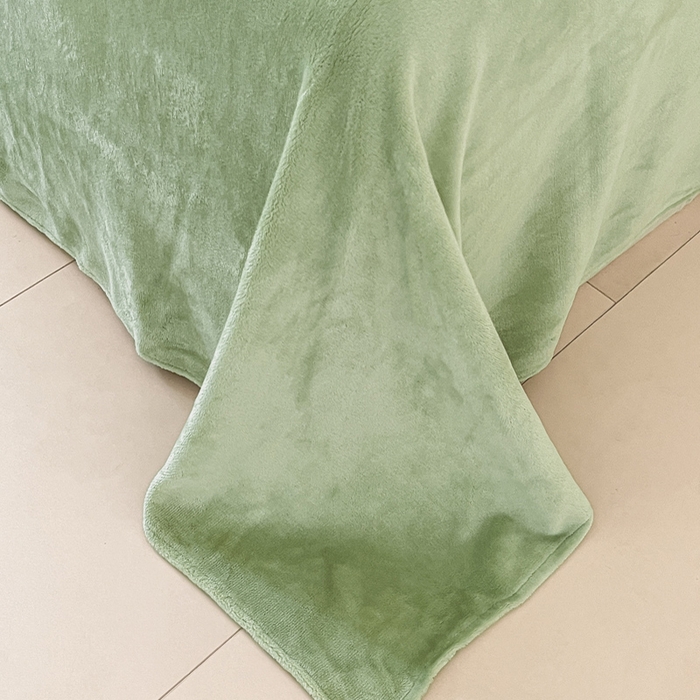 91家纺网 家纺一手货源 找家纺 ONE TWO ONE 121 新品【牛奶绒刺绣四件套】2025毛毯被子四件套单件床单被套床笠珊瑚绒牛奶绒冬被法兰绒兔毛绒男孩Boy Boy-浅绿