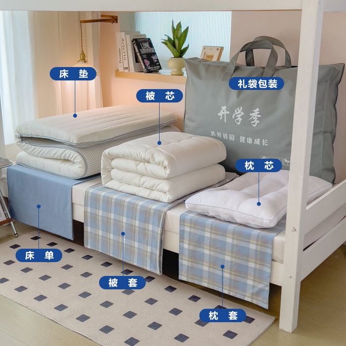 梵克保罗 2025春夏新品无印风水洗棉学生六件套大礼包三件套枕套被套床单被芯床垫枕芯学生季 天蓝中格