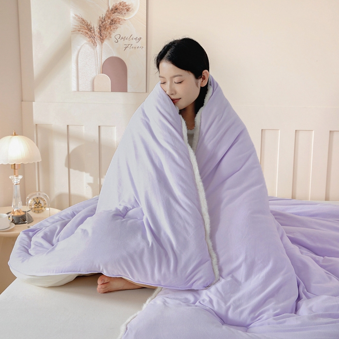 91家纺网 家纺一手货源 找家纺 亿莱鑫 2025新款A类超柔火山绒春秋被被子被芯冬被 奶昔紫