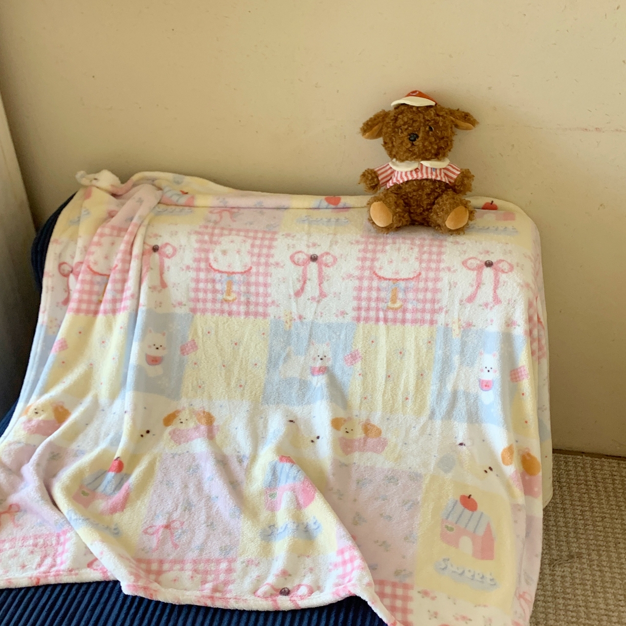 91家纺网 家纺一手货源 找家纺 桃喜 2025秋冬新款双面牛奶绒披肩毯毛毯毯子 房子小狗（双面绒披肩毯）