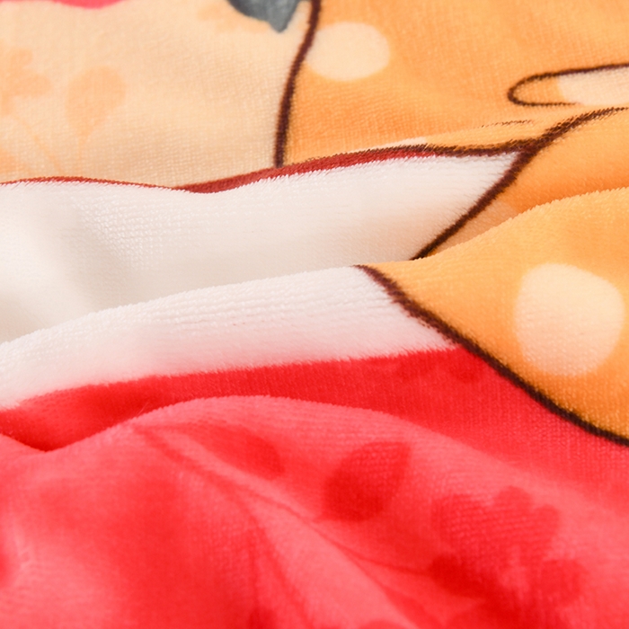 91家纺网 家纺一手货源 找家纺 雨洋2025新款加厚保暖牛奶绒金貂婴儿绒单被套 玫瑰花语