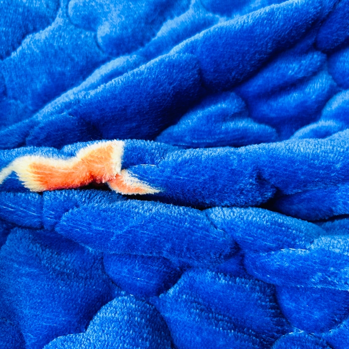 91家纺网 家纺一手货源 找家纺 小虾米 2025新款加厚牛奶绒夹棉床笠单床笠床笠单件 遨游太空