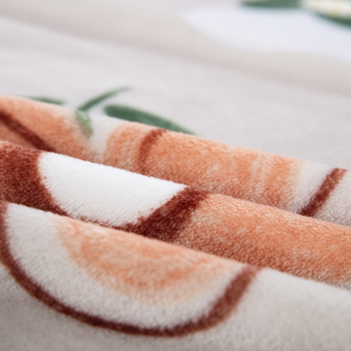 91家纺网 家纺一手货源 找家纺 卉晨毛毯 2025爆款加厚潮人牛奶绒空调毯披肩毯午睡毛毯 艾莉