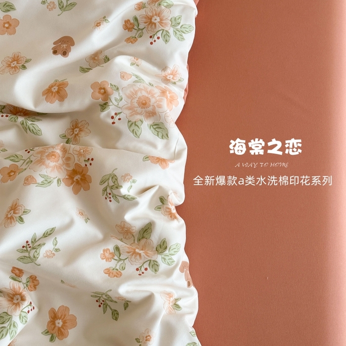 （总）梵克保罗 2025新款ins风亲肤卡通条格印花水洗棉系列四件套-风格二