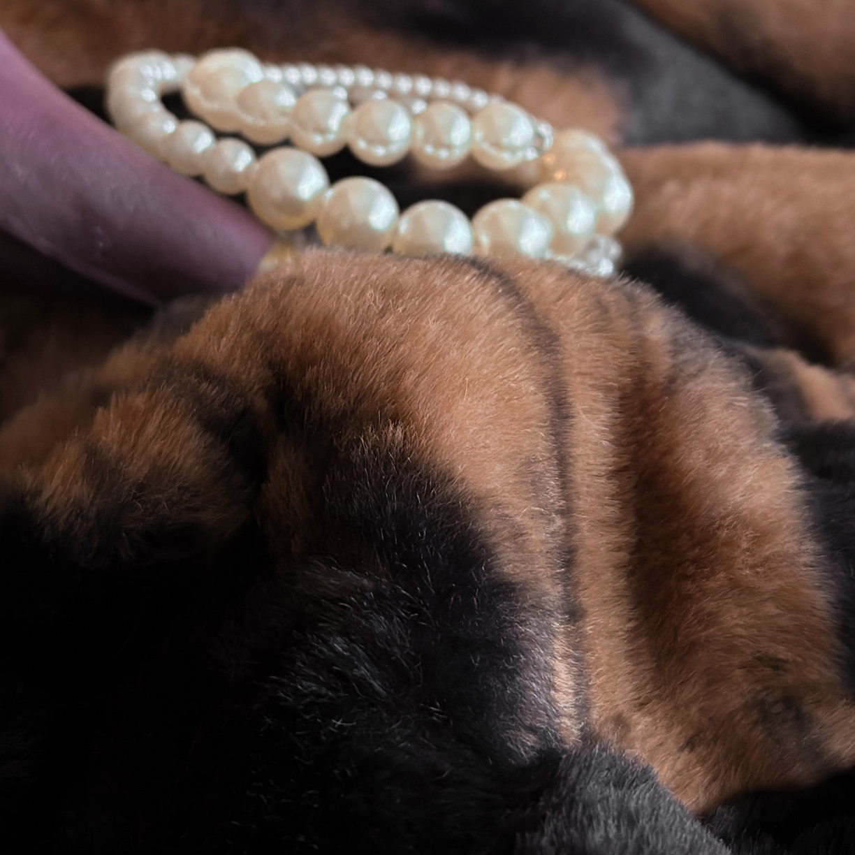 91家纺网 家纺一手货源 找家纺 铠畅  2025新款加厚8斤包边款美拉德仿兔毛皮草牛奶绒四件套 美拉德包边款-魅影