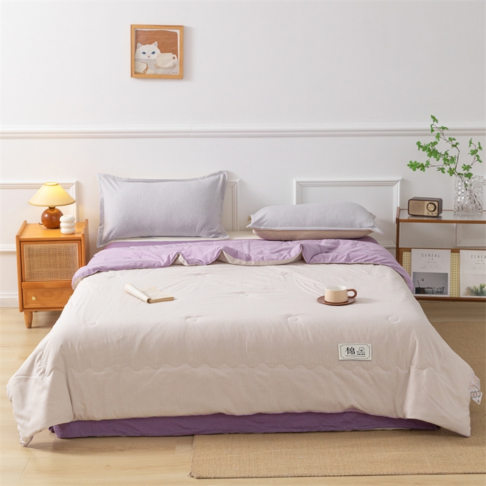 梵克保罗 2025新款时尚简约条纹款夏被 条纹-双拼