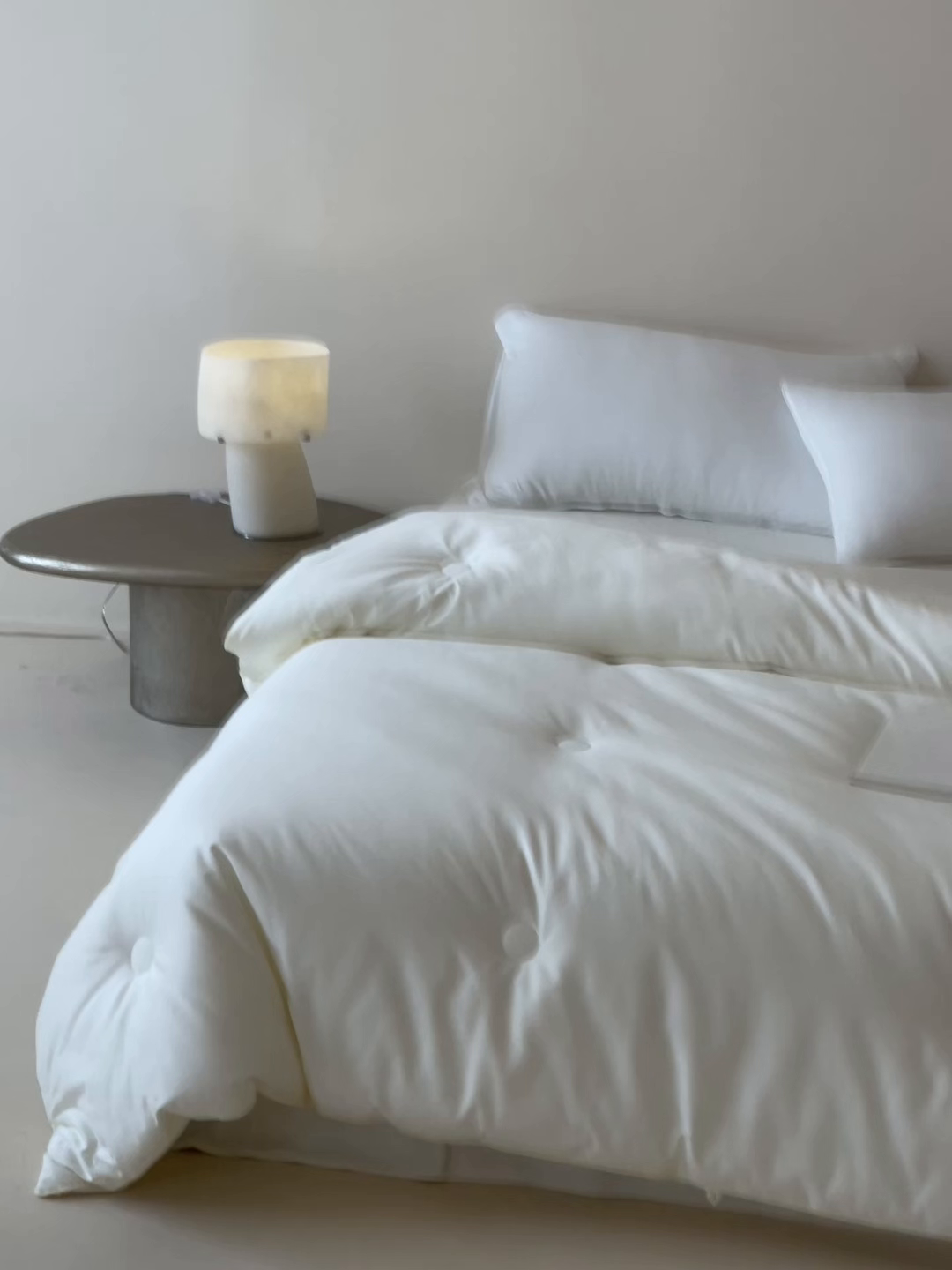 91家纺网 家纺一手货源 找家纺 （总）一加一 2025新款全棉55%大豆抗菌被被子被芯