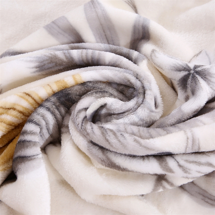 91家纺网 家纺一手货源 找家纺 爱派 2025年新款230g印花牛奶绒卷边毛毯盖坦毯子 花枝曼妙