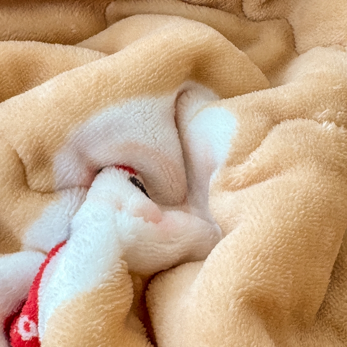 91家纺网 家纺一手货源 找家纺 禧缘家纺（原梦想家） 2025秋冬新款儿童加厚三层夹棉牛奶绒毛毯冬季双面绒保暖盖毯 可可甜心