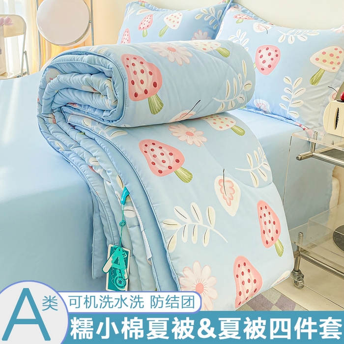 91家纺网 家纺一手货源 找家纺 （总）梵克保罗 2025新款水洗棉糯小棉夏被夏被四件套四季被春秋被单人学生双人被子被芯