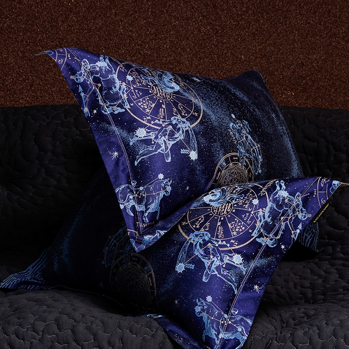 91家纺网 家纺一手货源 找家纺 黑白森林 2025新款100S全棉纯棉双股色经色纬大提花四件套 行空