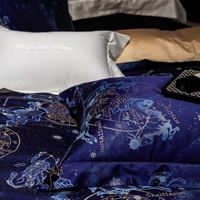 91家纺网 家纺一手货源 找家纺 黑白森林 2025新款100S全棉纯棉双股色经色纬大提花四件套 行空