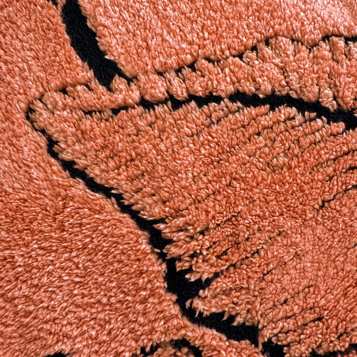 91家纺网 家纺一手货源 找家纺 梵克保罗 2025新款双层阳离子叶子提花塔芙绒羊羔绒跨境双层毛毯盖毯毯子 叶子橘色