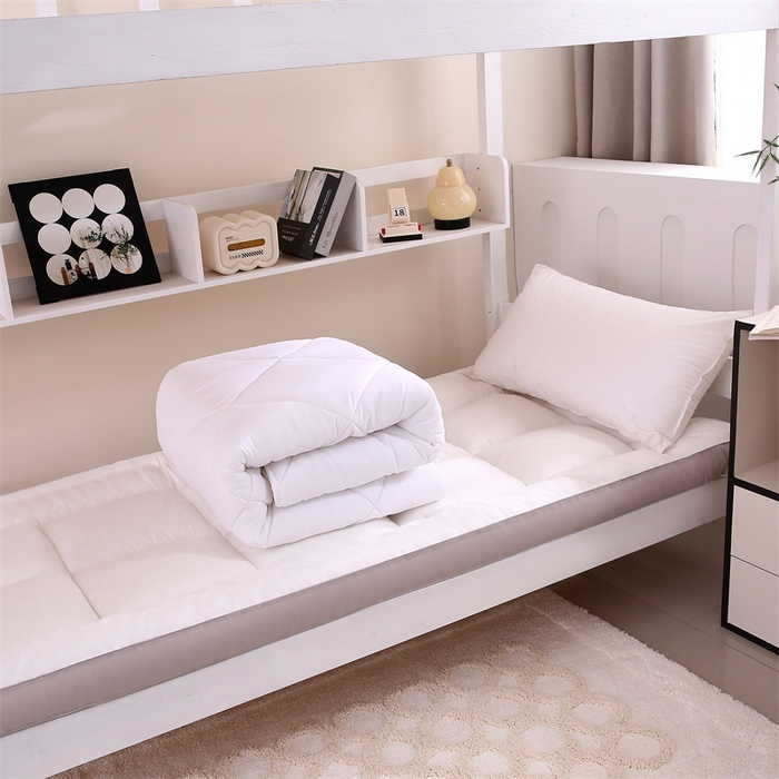 梵克保罗 2025春夏新款双层纱学生宿舍床单款三件套六件套大礼包学生季 被芯+配套芯垫