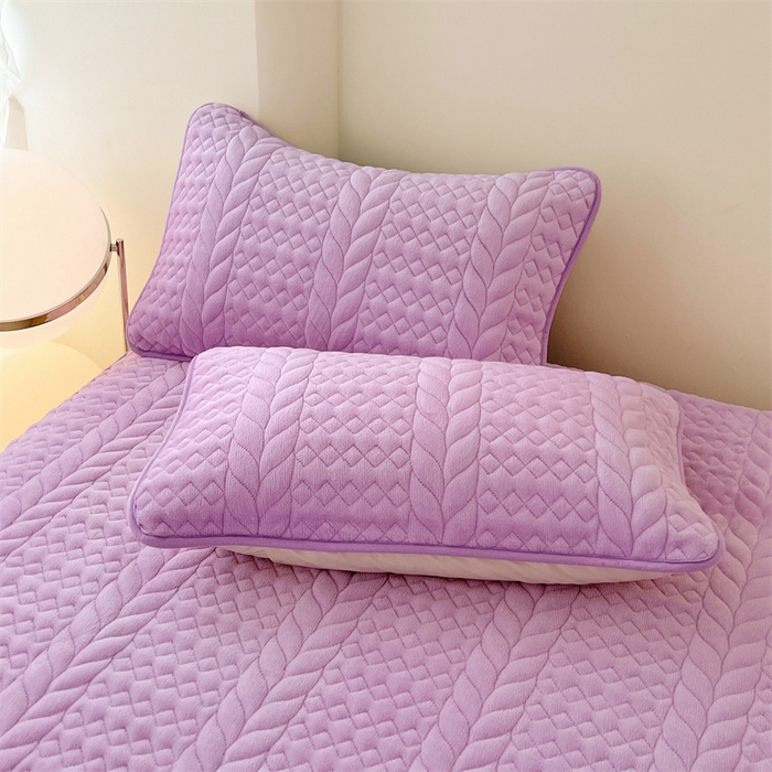 梦舒羽 2025新款牛奶绒夹棉枕套单人宿舍枕芯套枕头套一对-轻奢 轻奢包边款-梦幻紫