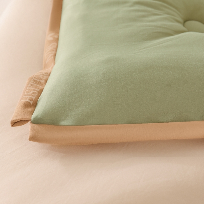 91家纺网 家纺一手货源 找家纺 梵克保罗 2025秋冬新品10A抗菌金乳丝春秋被冬被跨境外贸 金乳丝-米绿色