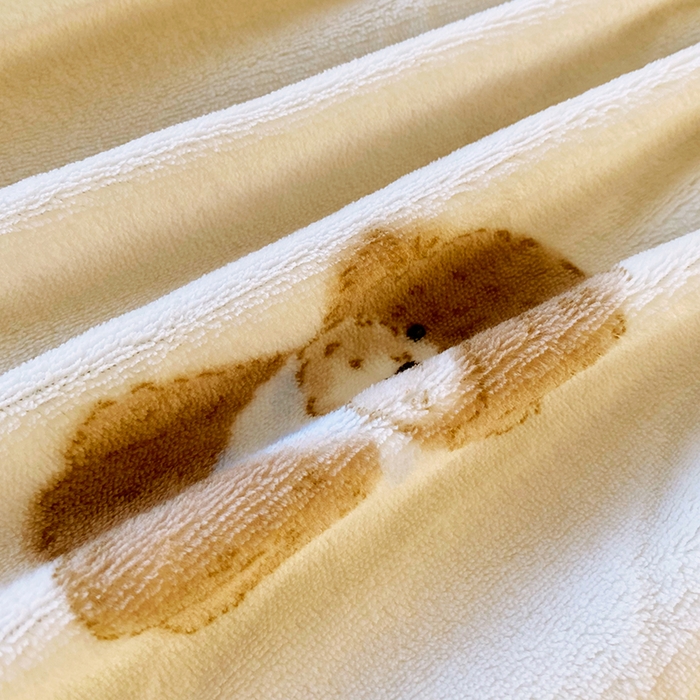 91家纺网 家纺一手货源 找家纺 葡萄家 2025年新款牛奶绒印花单床笠萌系卡通床笠款 比熊