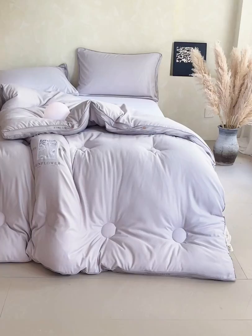 91家纺网 家纺一手货源 找家纺 梵克保罗 2025秋冬新品10A抗菌立体单人被双人被春秋被子被芯外贸-金阙朝岚 金阙朝岚-灰色