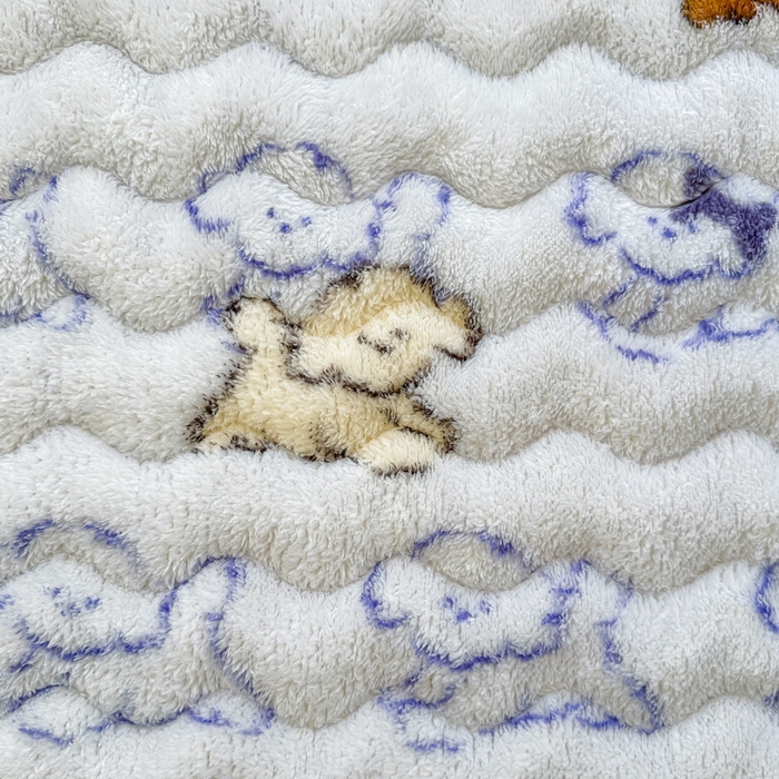 91家纺网 家纺一手货源 找家纺 LIFE.丽芙 2025秋冬新款北极绒加厚夹棉床垫床护垫单件牛奶绒床褥床垫子三件套 追逐-蓝