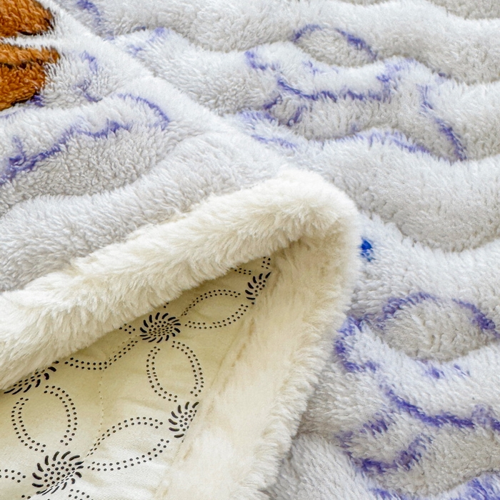 91家纺网 家纺一手货源 找家纺 LIFE.丽芙 2025秋冬新款北极绒加厚夹棉床垫床护垫单件牛奶绒床褥床垫子三件套 追逐-蓝