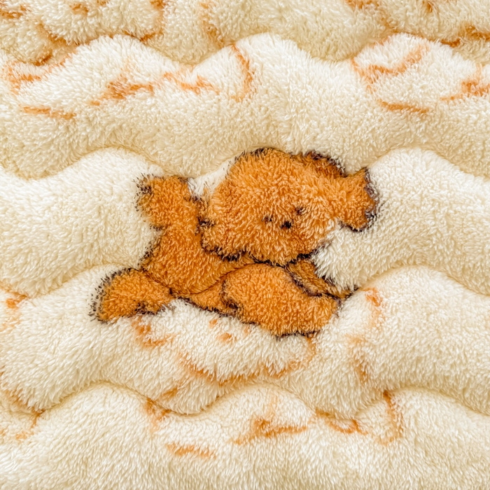 91家纺网 家纺一手货源 找家纺 LIFE.丽芙 2025秋冬新款北极绒加厚夹棉床垫床护垫单件牛奶绒床褥床垫子三件套 追逐-黄