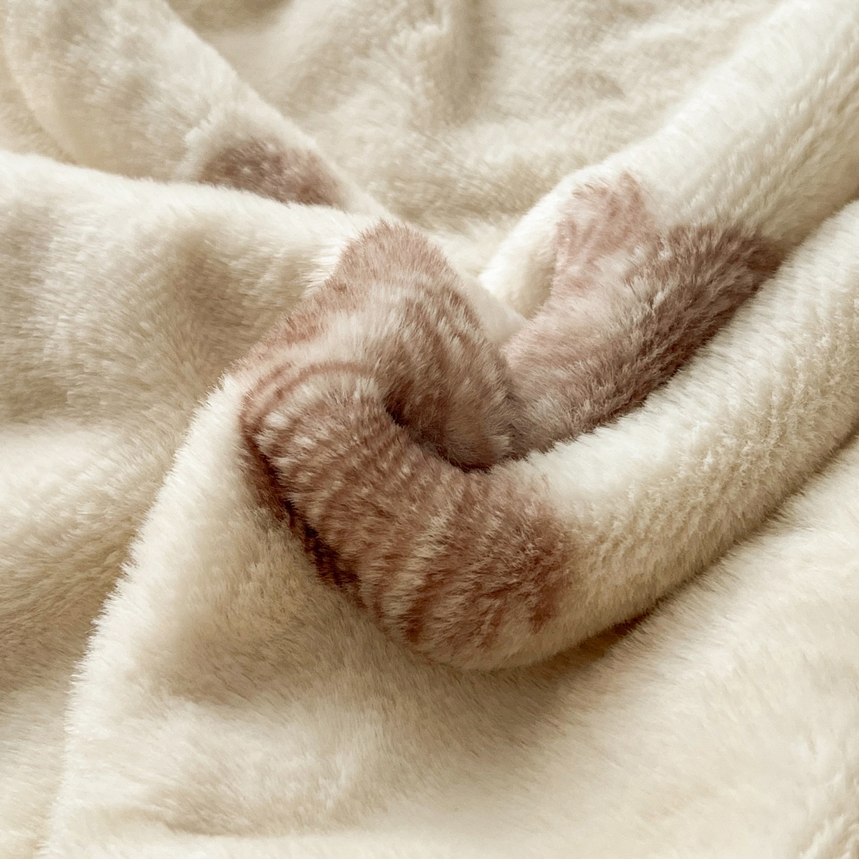 91家纺网 家纺一手货源 找家纺 （总）雅居纺家纺 2025新款贝壳边双面兔绒印花毛毯