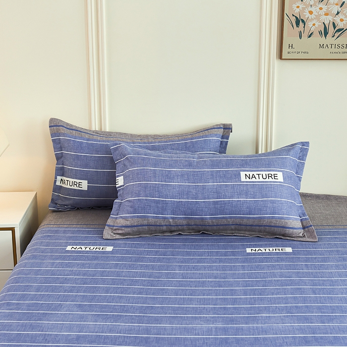 91家纺网 家纺一手货源 找家纺 （总）鑫缘 2025新款印花植物羊绒加厚磨毛单枕套