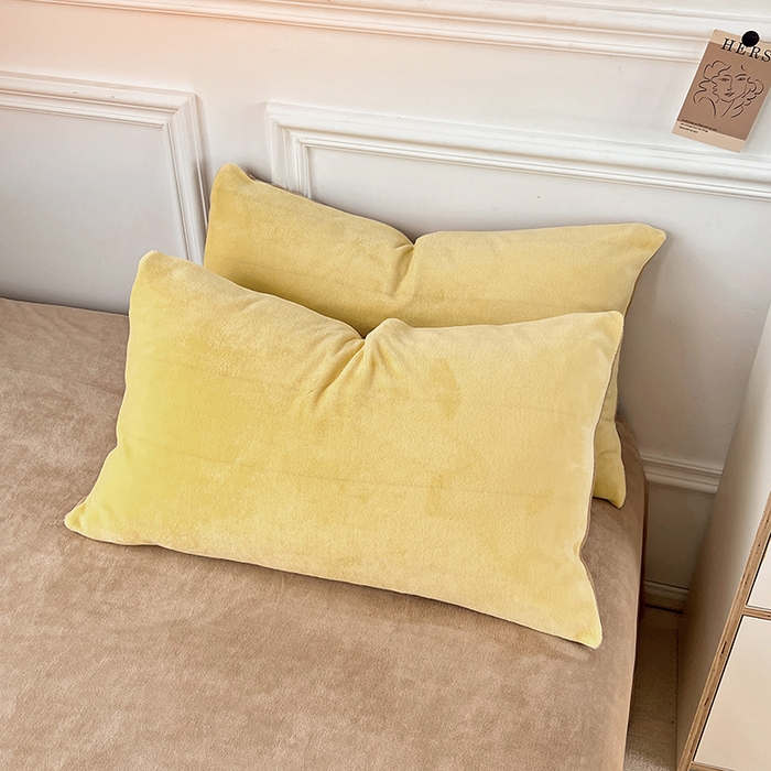 91家纺网 家纺一手货源 找家纺 梵克保罗 2025秋冬新款ins风小红书高克重纯色双拼牛奶绒单被套三件套四件套系列 炭烤起司