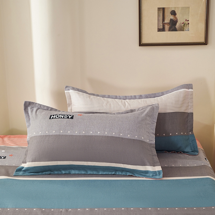 91家纺网 家纺一手货源 找家纺 鑫缘 2025直播爆款印花植物羊绒加厚磨毛单被套 彩色织语