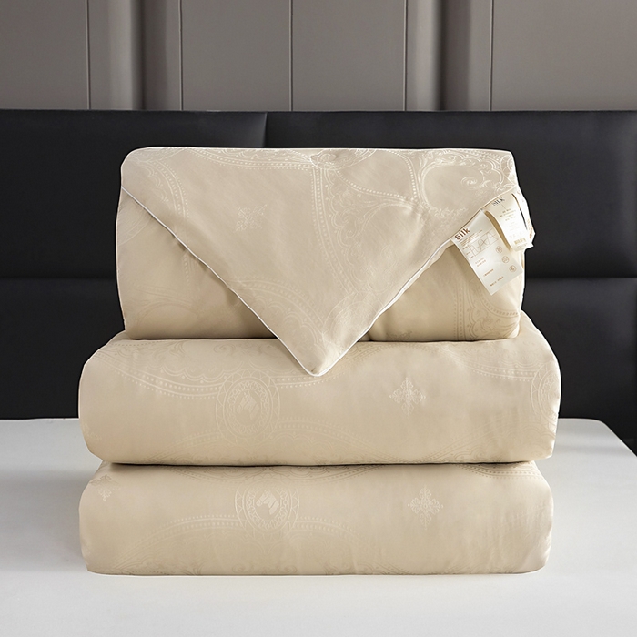 亿莱鑫 2025新款亲肤暖糯蛋白被子母被 香槟色