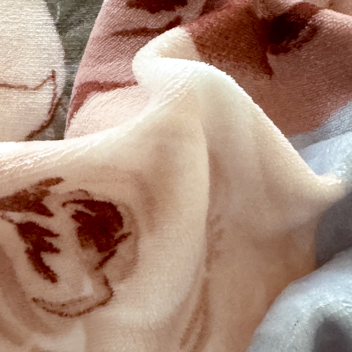 91家纺网 家纺一手货源 找家纺 KA家纺 2025新款秋冬轻奢高克重双拼角牛奶绒四件套 繁花似锦