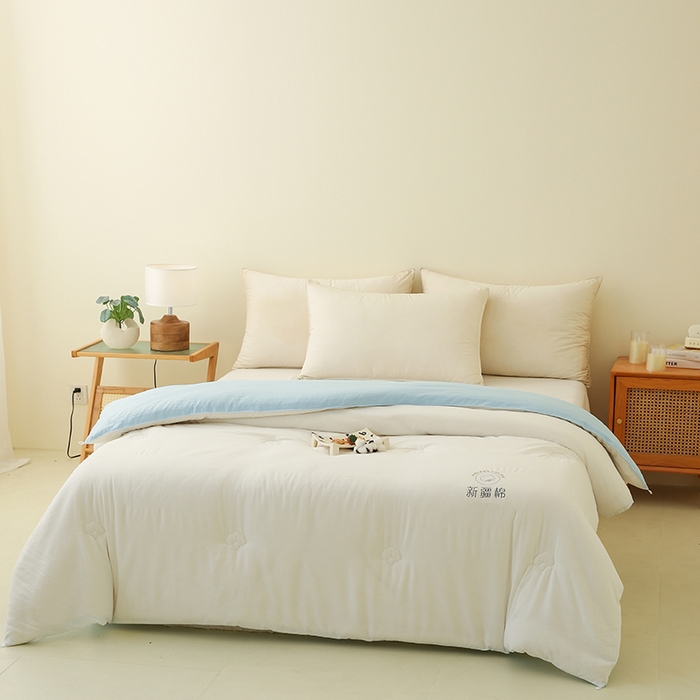 91家纺网 家纺一手货源 找家纺 （总）爱诗诺家纺 2025新款拼色无印风新疆棉花被春秋被夏被四季被被子被芯