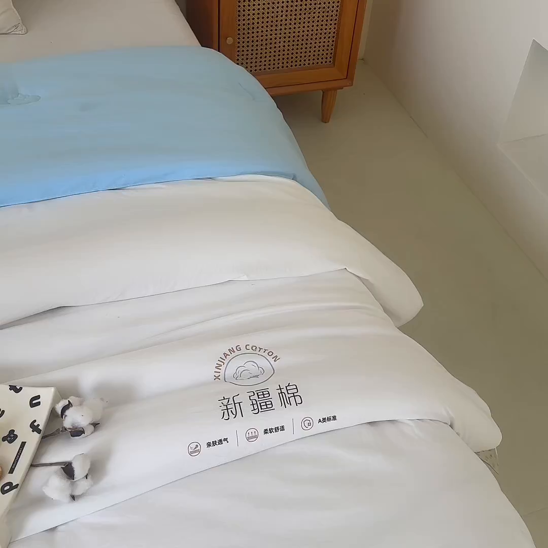 91家纺网 家纺一手货源 找家纺 （总）爱诗诺家纺 2025新款拼色无印风新疆棉花被春秋被夏被四季被被子被芯