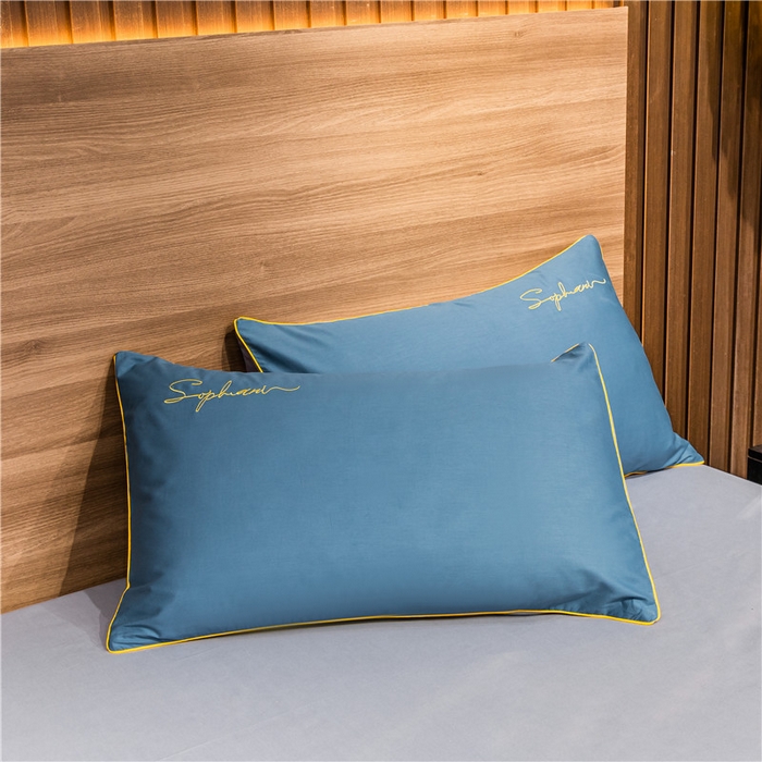 91家纺网 家纺一手货源 找家纺 小叮当家纺仓储工厂店 2025新款(热买家秀不断货)40s贡缎长绒棉纯棉字母款全棉四件套轻奢床上用品 宝兰配浅灰