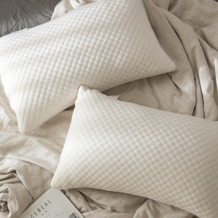91家纺网 家纺一手货源 找家纺 （总）胜诗梵 2025新款水立方透气羽丝绒枕芯
