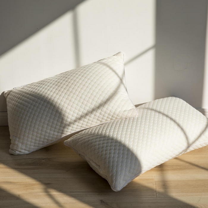 91家纺网 家纺一手货源 找家纺 （总）胜诗梵 2025新款水立方透气羽丝绒枕芯