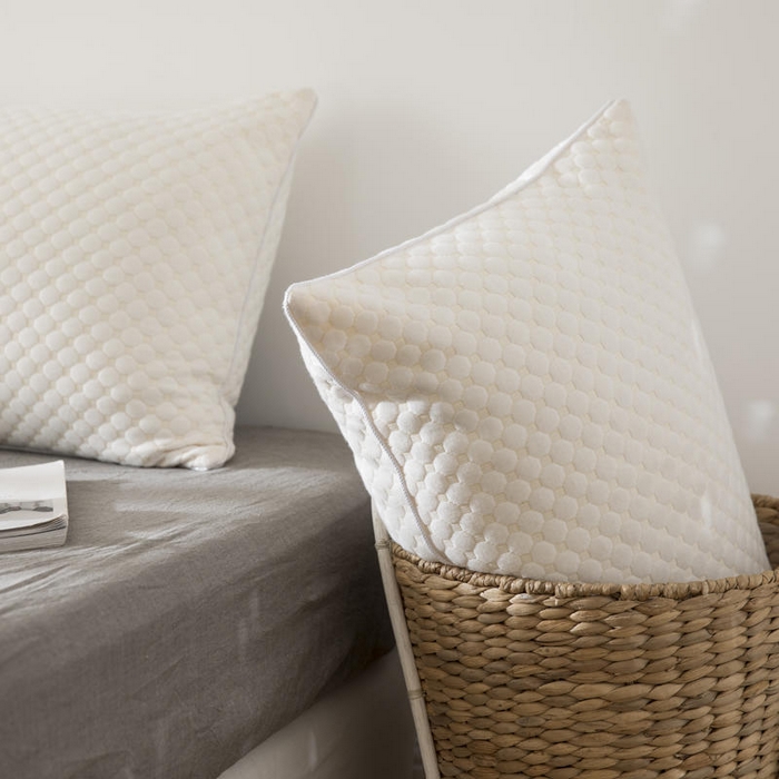 91家纺网 家纺一手货源 找家纺 （总）胜诗梵 2025新款水立方透气羽丝绒枕芯