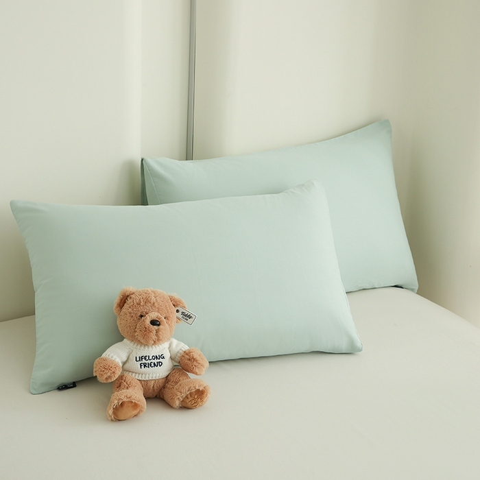 91家纺网 家纺一手货源 找家纺 泰迪爱兰Teddy ISLAND  2026新款全棉40S单品刺绣床单 抹茶绿