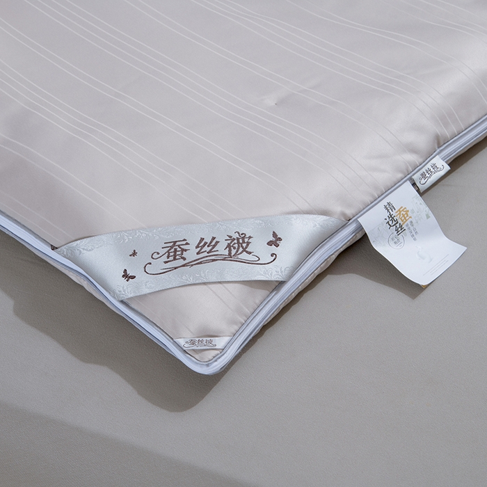 91家纺网 家纺一手货源 找家纺 尚品家纺 2025新款全棉提花蚕丝子母被冬被春秋被被子 高级灰