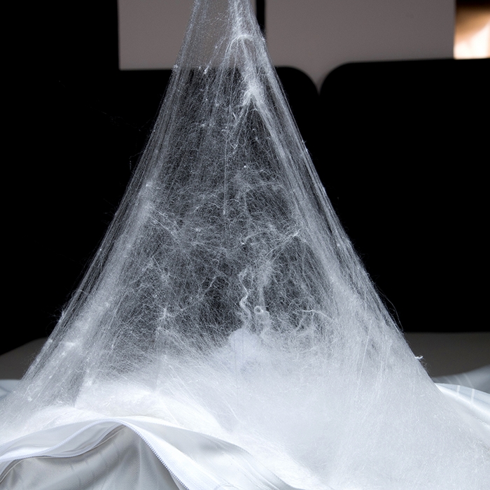 91家纺网 家纺一手货源 找家纺 尚品家纺 2025新款全棉提花蚕丝子母被冬被春秋被被子 月光白